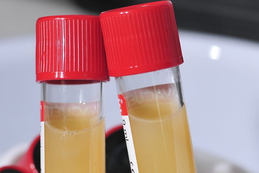 Guided Digital Technology